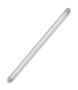 T8 Fluorescent Tubes