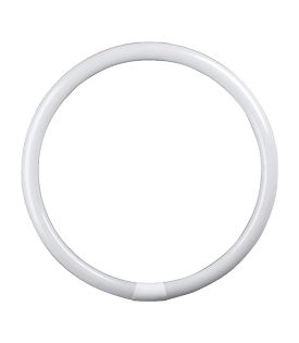 Circular Fluorescent Tubes