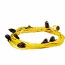 3 Mtr Spaced Festoon Harness 110v B93 Yellow