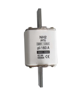 NH2 160Amp Fuse