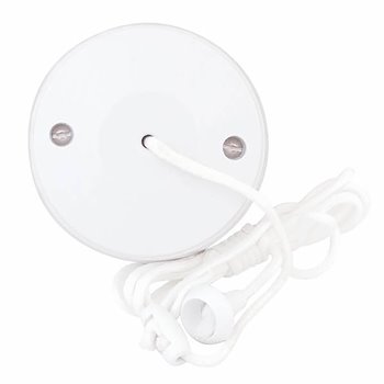 Selectric 10A 2 Way Ceiling Switch Pull Cord LG1731