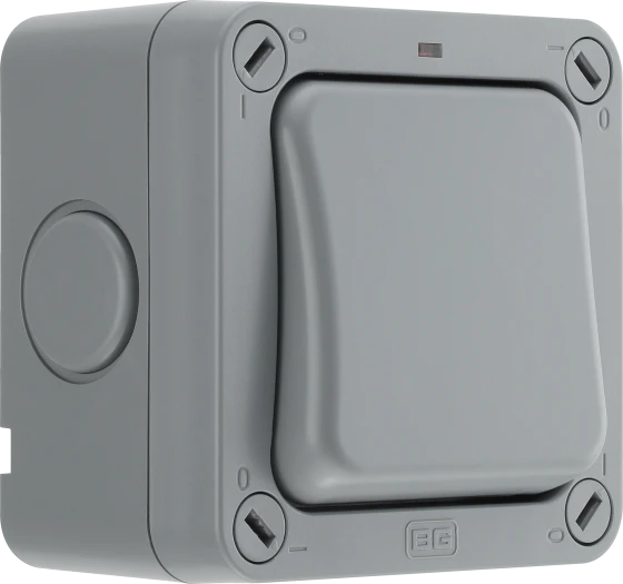 BG Waterproof 1G 2W Switch IP65