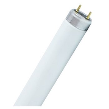 T8 Fluorescent 30" 25w Cool White 840 25W/30