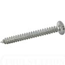 4.2 x 13mm Pozi Screw